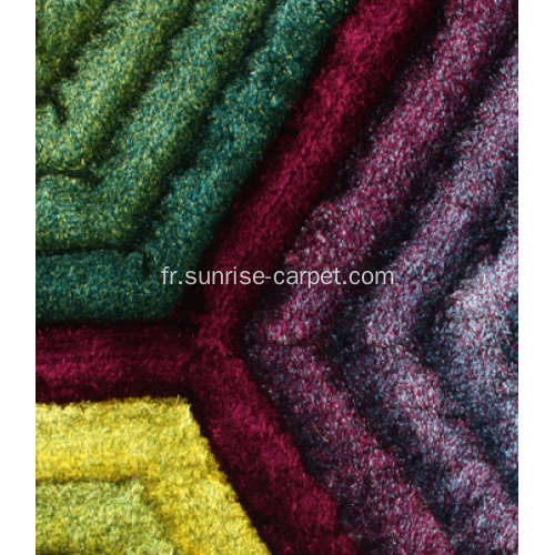 tapis shaggy polyester conception 3D populaire